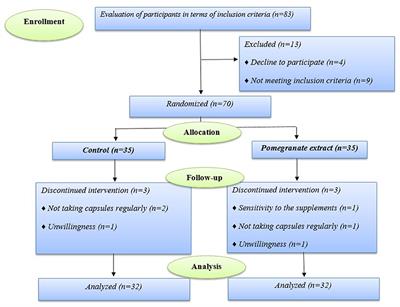 Pomegranate extract supplementation improves lung function parameters and IL-35 expression in participants with mild and moderate persistent allergic asthma: A randomized, double-blind, placebo-controlled trial